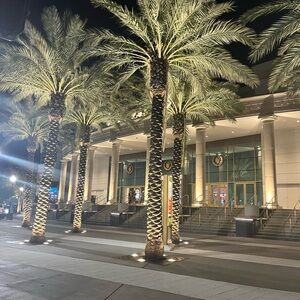 Meet your Posher, Lee